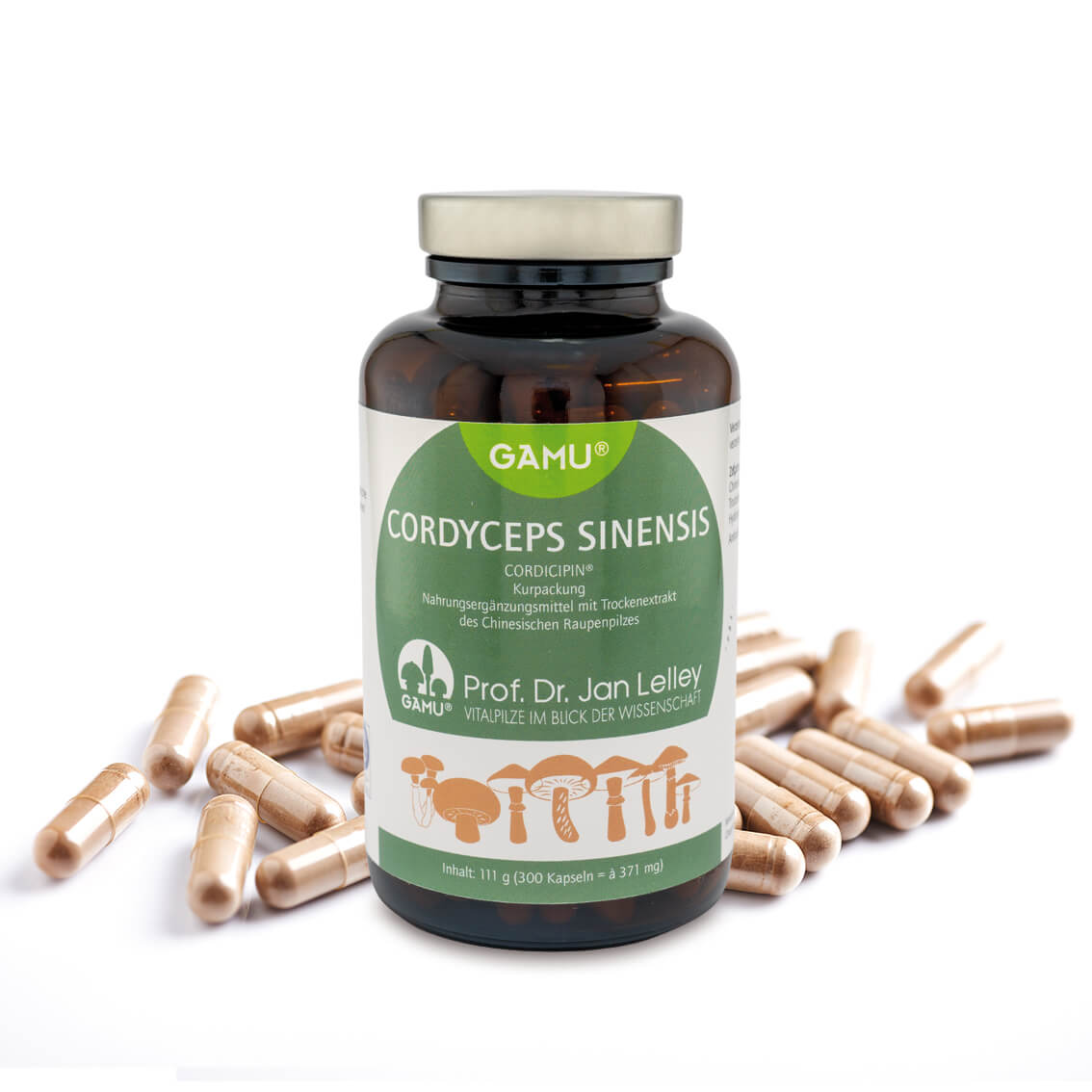 Cordyceps sinensis Extrakt / Chinesischer Raupenpilz