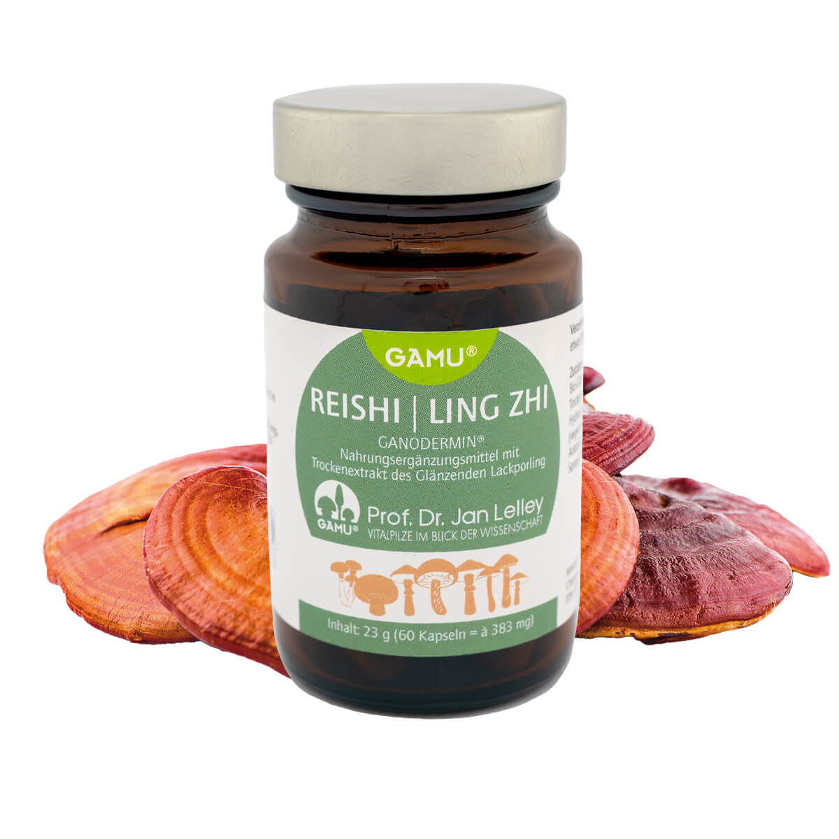 Organic Reishi mushroom extract / Ganoderma Lucidium